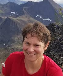 Energy in the North radio series