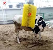 High Quality Custom PP Material Full Automatic Cleaning Cattle Body Cow  Brush
