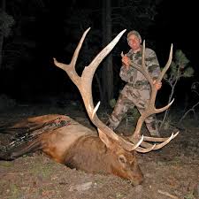 How Randy Ulmer Prepares for Archery Elk Season