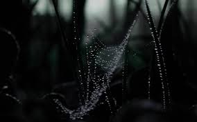 3072 x 1920 at 226 pixels per inch. Hd Desktop Backgrounds Macbook Pro Wallpaper Cave