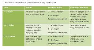 Oleh karena itu, jadwal makan bayi 6 bulan keatas haruslah menyenangkan. 32 Jadwal Pemberian Mpasi Bayi 6 Bulan Pics Pbsafety