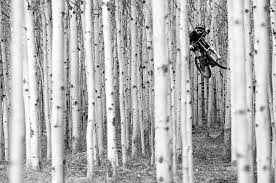 Redbullillume On Instagram Can T See The Forest Through The Trees Eyeroam Could When He Captu Mountain Biking Photography Bike Photography Mountain Biking