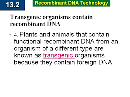Transgenic organisms contain foreign dna that has been introduced using biotechnology. Genetic Technology Genetic Engineering 1 Genetic Engineering Is