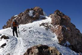 Image result for intuitivefred888