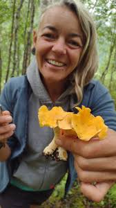 Is it a good mushroom season in Norway this year?