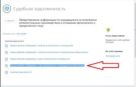 Kak Uznat Hod Ispolnitelnogo Proizvodstva Bez Posesheniya Pristavov Pikabu