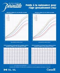 Poids A La Naissance Pour L Age Gestationnel Canada Ca