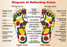 Tcm Foot Reflexology Chart Reflexology Association Of Canada