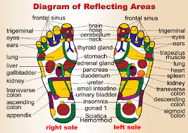 tcm foot reflexology chart reflexology association of canada