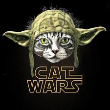 Cat Wars Art Print By Detullio Pasquale Society6 Cats Crazy Cats Cat Art