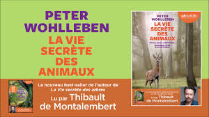 Chaque moyen a des avantages et des inconvénients. La Vie Secrete Des Animaux De Peter Wohlleben Lu Par Thibault De Montalembert Livre Audio Youtube