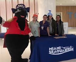 The rain didn't keep Salty the Sea Lion...