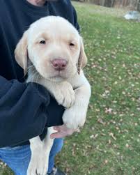 Palmer's Creekside...