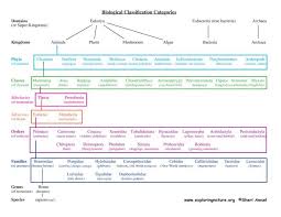 Science Resource For Mama Life Science Middle School Science Biology Biology Lessons