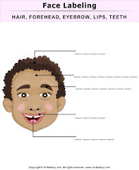 Maybe you would like to learn more about one of these? Label Face Parts Worksheet Turtle Diary