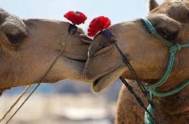 Pin On Words Of The 3 Soul