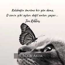 Kelebegin Omrune Bir Gun Deme O Senin Gibi Aylari Degil Anlari Yasar Tom Robbins Sozler