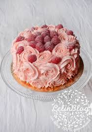 Rose Cake A La Framboise Jeanne My Blog Cake Framboise Gateau Chocolat Framboise Gateau Anniversaire 18ans
