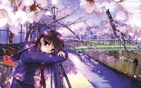 Anime wallpapers hd full hd, hdtv, fhd, 1080p 1920x1080 sort wallpapers by: Full Anime Wallpaper Fur Android Apk Herunterladen