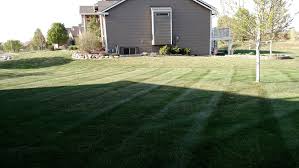 We have the ability to turn your lawn care needs into a reality! Pro Cut Lawn Care