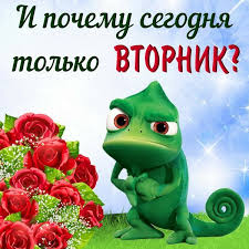 открытки с добрым утром на любой день недели бесплатно скачать I Pochemu Segodnya Tolko Vtornik V 2020 G Smeshno Dobroe Utro Veselye Obezyany