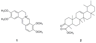 Image result for Rutidea