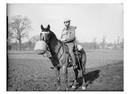 Horse's gas mask is featured on the left. Humanity Is Riding Delusion To Extinction Truthdig