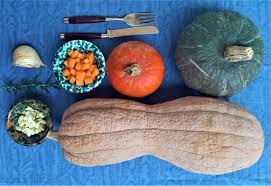 Il motivo per cui una zucchina diviene amara, è perché contiene troppa cucurbitacina, una sostanza tossica che la pianta sviluppa per tenere lontani gli erbivori, in natura. Zucca D Autunno Gustarviaggiando