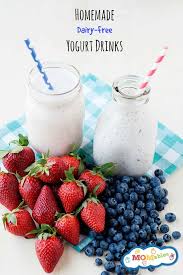 dairy free yogurt drinks recipe