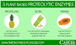 Image result for enzymes papaya guava cancer