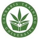 Image result for pole and dagga houses