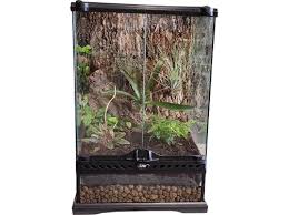 Deluxe Living Vivarium 18x18x24 - The Tye-Dyed Iguana - Reptiles and  Reptile Supplies in St. Louis.