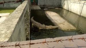 Apakah taman buaya buka : Apakah Taman Buaya Buka Objek Wisata Taman Buaya Asam Kumbang Berdiri Sejak 1959 Travel Tempo Co Tak Perlu Khawatir Akan Merasa Bosan Melihat Buaya Gadgetn3w