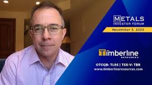Patrick Highsmith of Timberline Resources presents at the Virtual MIF