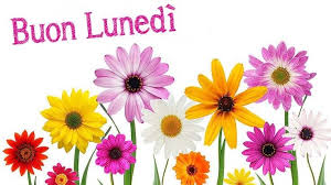 Buon Lunedi Immagini E Frasi Immaginiamo Org Nel 2020 Buon Lunedi Lunedi Auguri Di Compleanno Divertenti