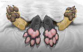 Bed Paws. by Footpaws -- Fur Affinity [dot] net