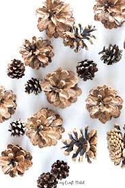 If you're wondering how to clean pine cones for crafting, you've come to the right place. How To Clean Pine Cones For Crafts Sustain My Craft Habit