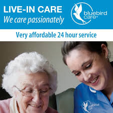 Bluebird Care Barnet