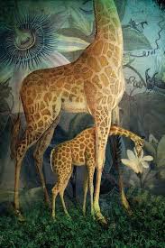 Jungle Life Canvas Art Print By Catrin Welz Stein Icanvas Canvas Art Prints Animals Artwork Jungle Life