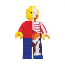 Lego® er meget mere end blot de populære byggeklodser og lego® figurer. Figuren Lego 28 Cm Bigger Micro Anatomic Junior Von Jason Freeny Mi