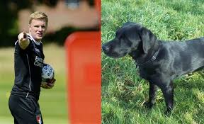 Find the perfect eddie howe stock photos and editorial news pictures from getty images. 10 Facts You Do Not Know About Bournemouth Manager Eddie Howe
