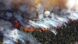 Active wildfires in washington the inciweb website provides information on large wildfires burning throughout the nation, including washington. Wildfires Expert Answers To Your Burning Questions College Of Natural Resources News