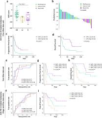 Multi Model Preclinical Platform Predicts Clinical Response