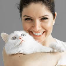 Mans Stainless Steel Wheat Chain, Men's Jewelry, Gifts for Dad, Boyfriend  Gift, Chain Only