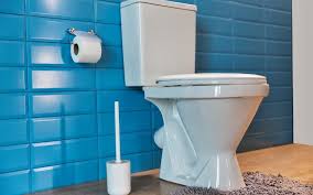 Check spelling or type a new query. How To Fix A Leaking Toilet All Perfect Stories