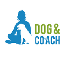 Dog and Co'ach
