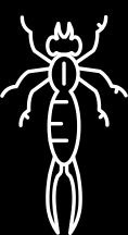Pest control myrtle beach by complete pest management co. Welcome To Victory Pest Control Quality Myrtle Beach Pest Control Services
