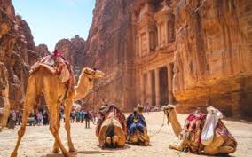 There are two types of camels: 20 Things For Women To When Travelling In Jordan Journeywoman Com