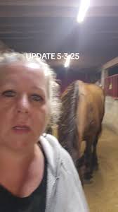 Daisy-Mae Update: Overcoming Storm Challenges