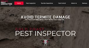 Pest management in burleigh heads is something that should be done at least once a year. The 6 Best Pest Control Services In Gold Coast For Any Situation 2021